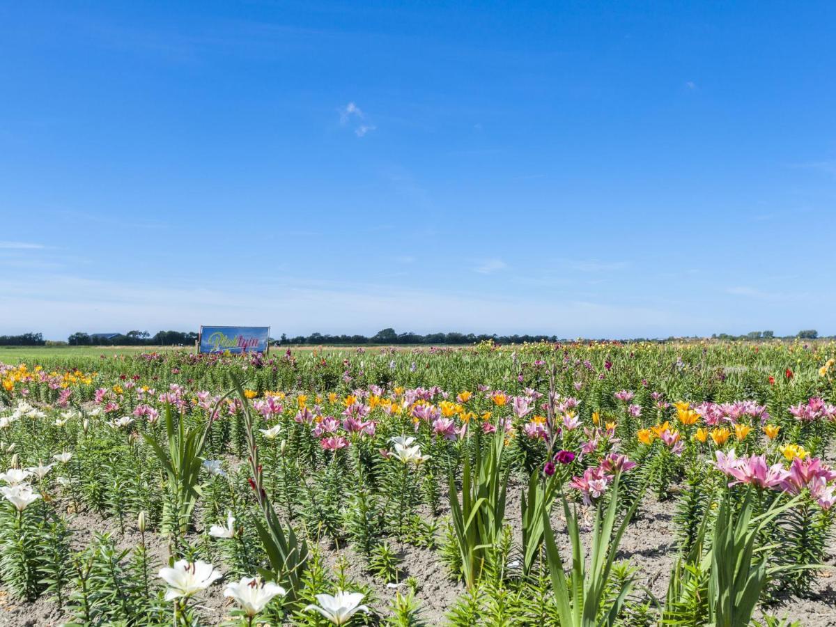 Charming Holiday Home Near Beach In Meliskerke Exteriér fotografie